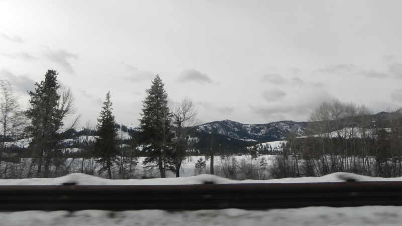 DSCN1584.JPG